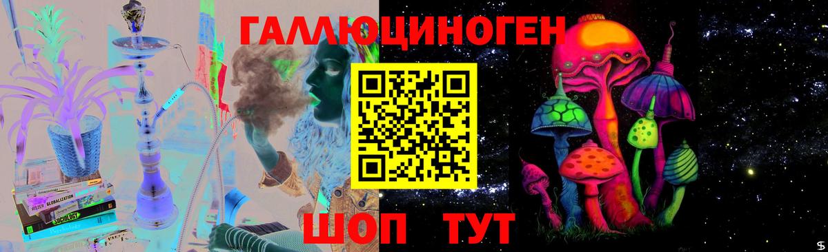 Шатура  Галлюциногенные грибы прущие грибы  Вход с VPN 